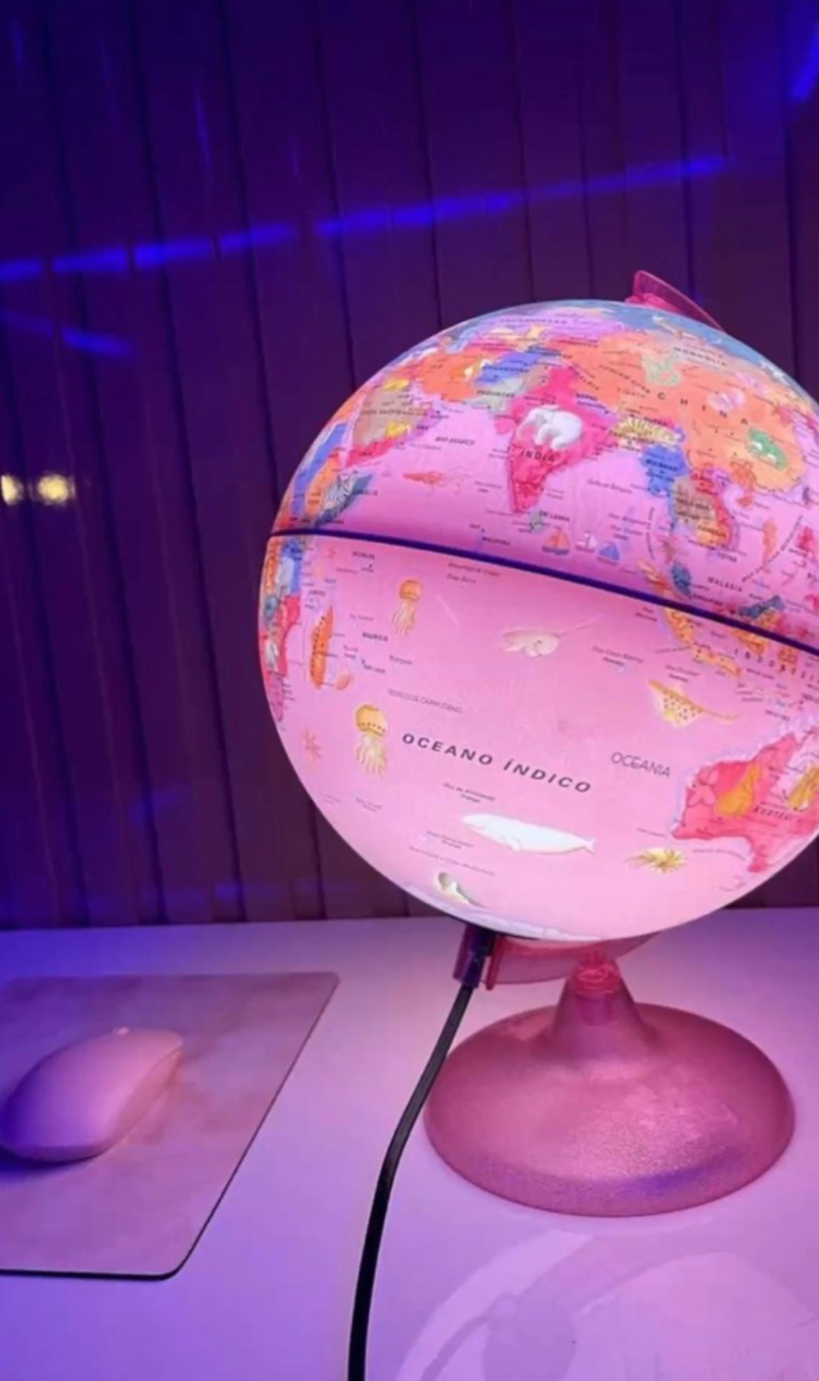 Coco & Shy goes global!