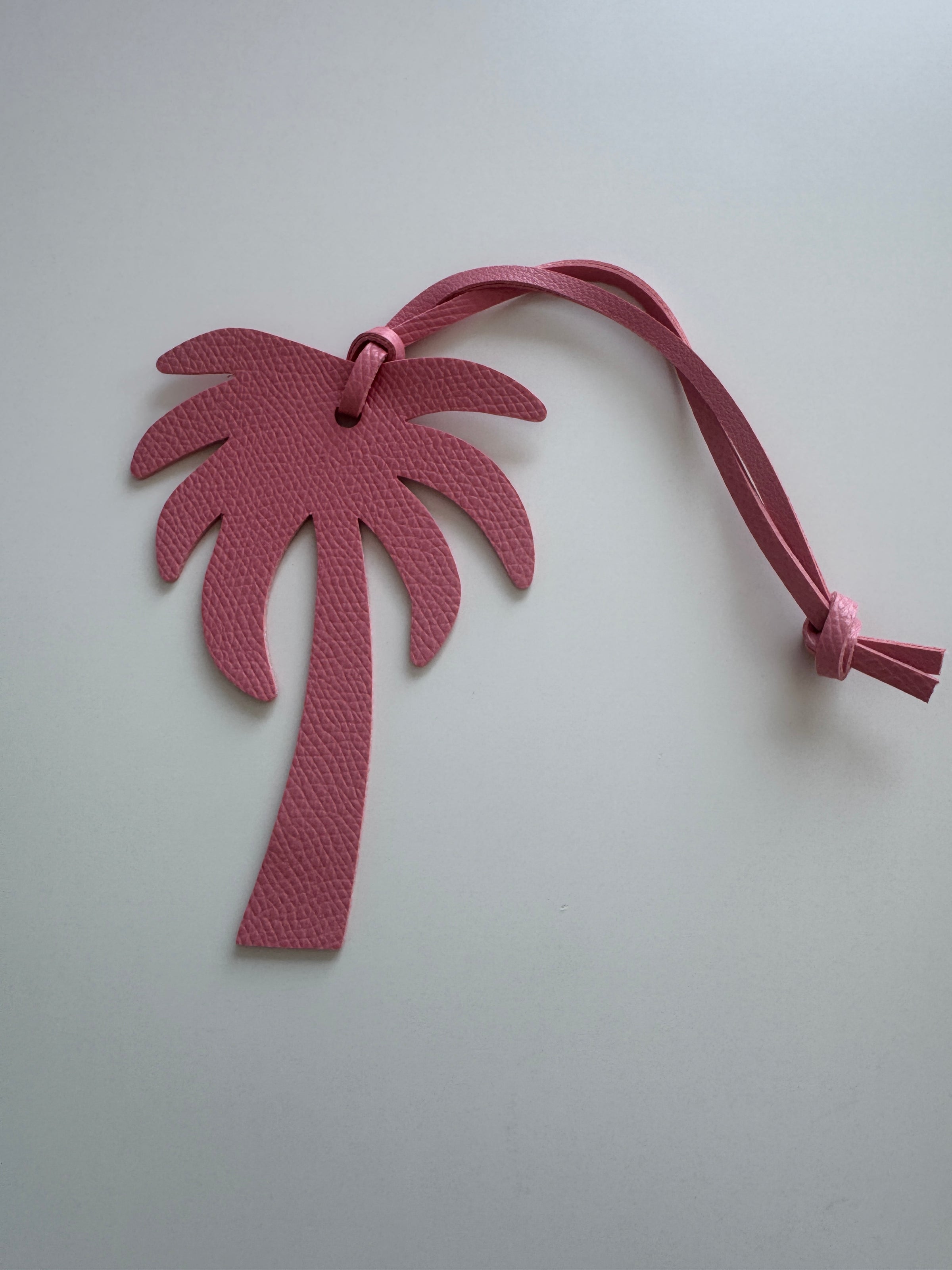 Palm Springs Bag Tag