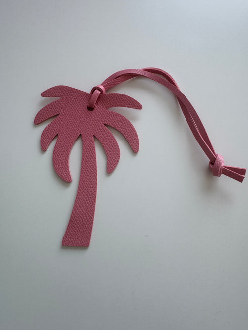 Palm Springs Bag Tag